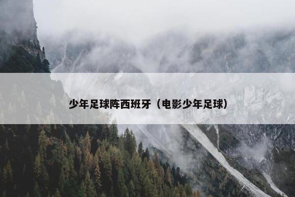 少年足球阵西班牙（电影少年足球）