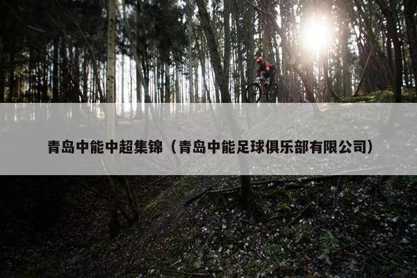青岛中能中超集锦（青岛中能足球俱乐部有限公司）