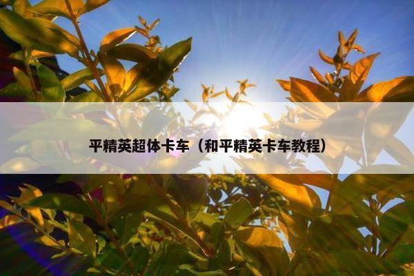 平精英超体卡车（和平精英卡车教程）