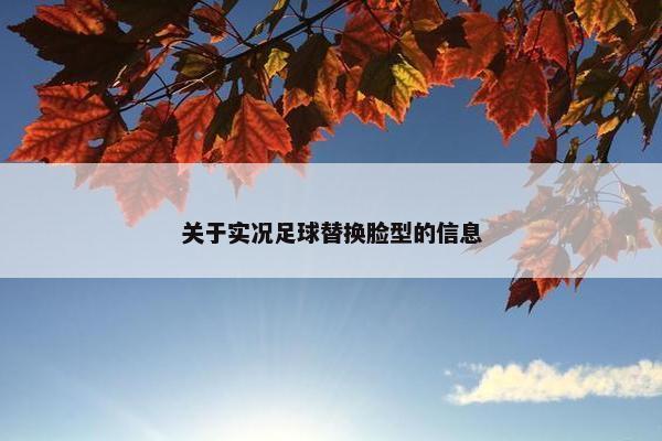 关于实况足球替换脸型的信息