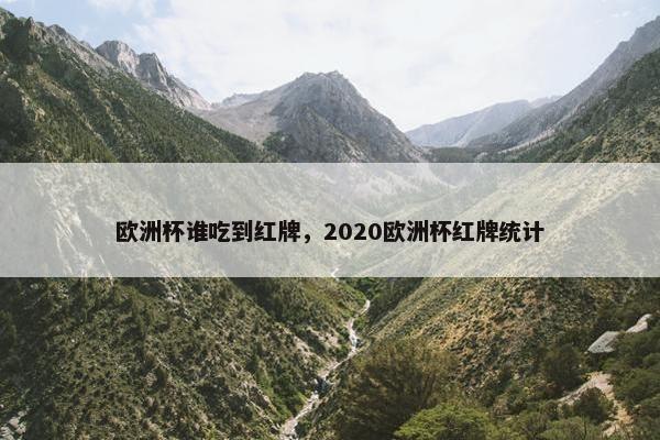 欧洲杯谁吃到红牌，2020欧洲杯红牌统计