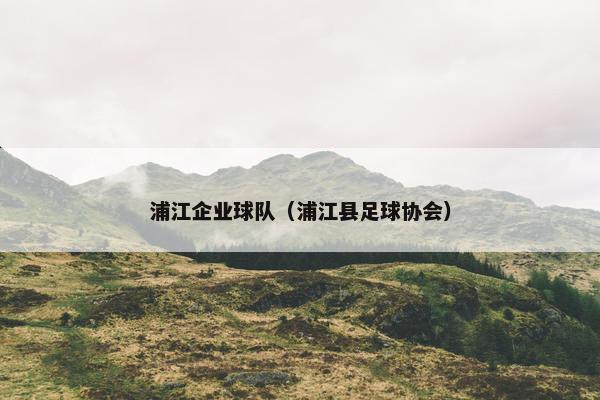 浦江企业球队（浦江县足球协会）