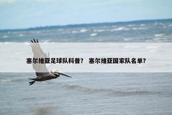 塞尔维亚足球队科普？ 塞尔维亚国家队名单？