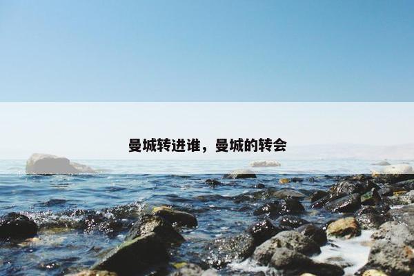 曼城转进谁，曼城的转会