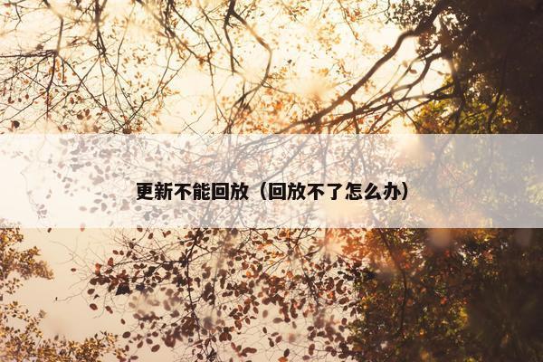 更新不能回放（回放不了怎么办）