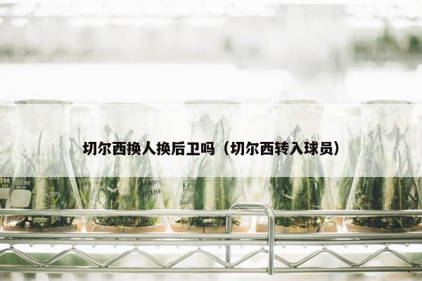 切尔西换人换后卫吗（切尔西转入球员）