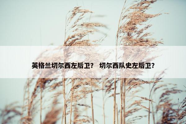 英格兰切尔西左后卫？ 切尔西队史左后卫？