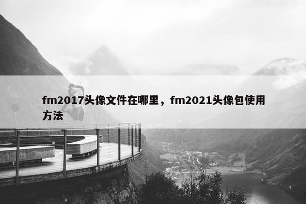 fm2017头像文件在哪里，fm2021头像包使用方法