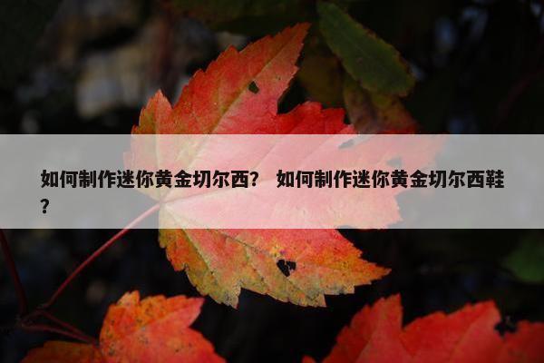 如何制作迷你黄金切尔西？ 如何制作迷你黄金切尔西鞋？