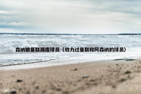 森纳被曼联踢废球员（效力过曼联和阿森纳的球员）