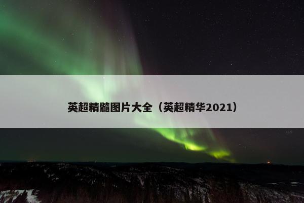英超精髓图片大全（英超精华2021）