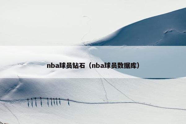nba球员钻石（nba球员数据库）