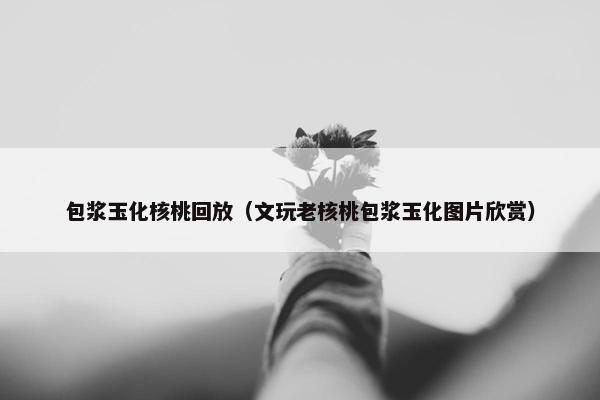 包浆玉化核桃回放（文玩老核桃包浆玉化图片欣赏）