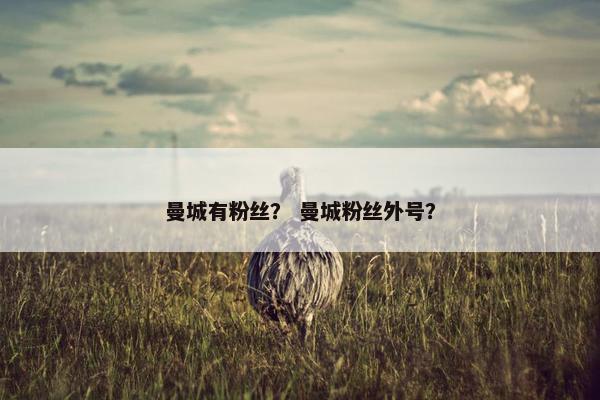 曼城有粉丝？ 曼城粉丝外号？