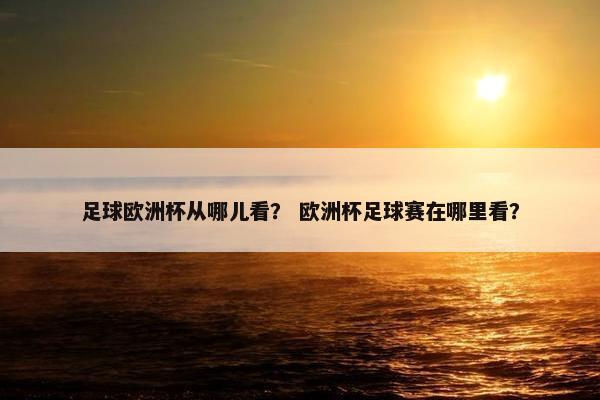 足球欧洲杯从哪儿看？ 欧洲杯足球赛在哪里看？