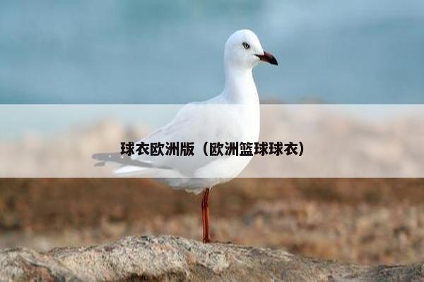 球衣欧洲版（欧洲篮球球衣）