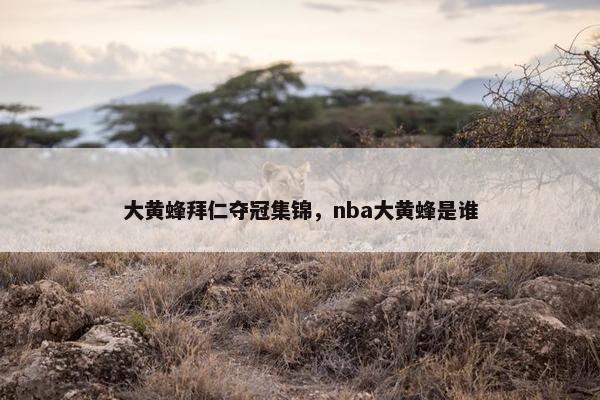 大黄蜂拜仁夺冠集锦，nba大黄蜂是谁