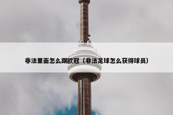非法里面怎么踢欧冠（非法足球怎么获得球员）