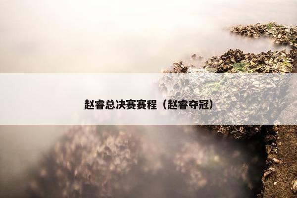 赵睿总决赛赛程（赵睿夺冠）