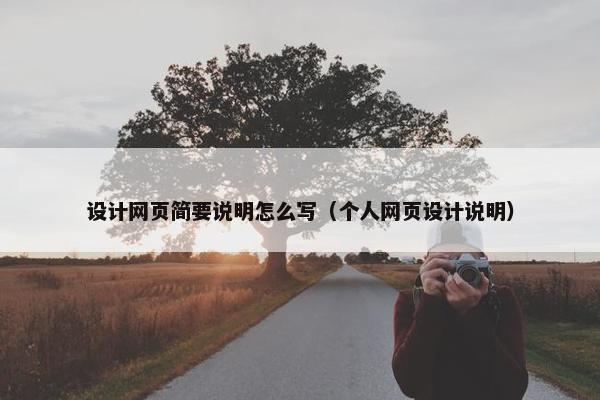 设计网页简要说明怎么写（个人网页设计说明）