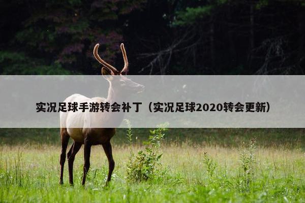 实况足球手游转会补丁（实况足球2020转会更新）