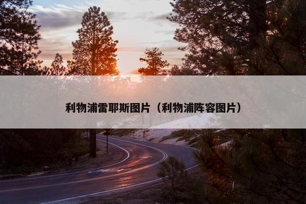 利物浦雷耶斯图片（利物浦阵容图片）