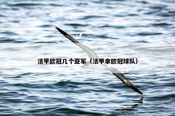 法甲欧冠几个亚军（法甲拿欧冠球队）