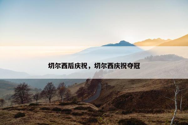 切尔西后庆祝，切尔西庆祝夺冠