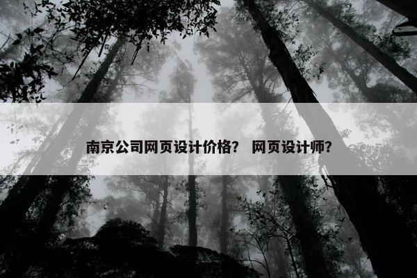 南京公司网页设计价格？ 网页设计师？
