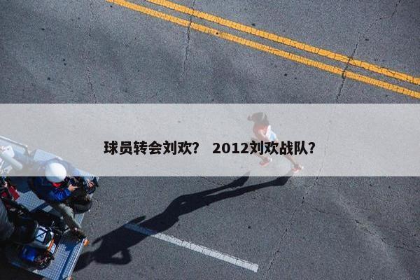 球员转会刘欢？ 2012刘欢战队？