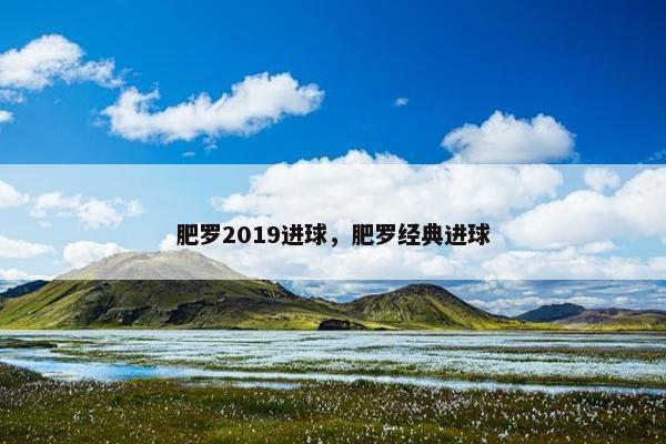 肥罗2019进球，肥罗经典进球
