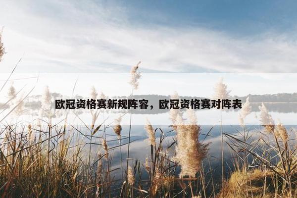欧冠资格赛新规阵容，欧冠资格赛对阵表