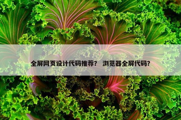全屏网页设计代码推荐？ 浏览器全屏代码？