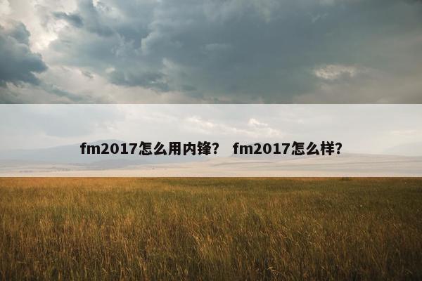 fm2017怎么用内锋？ fm2017怎么样？