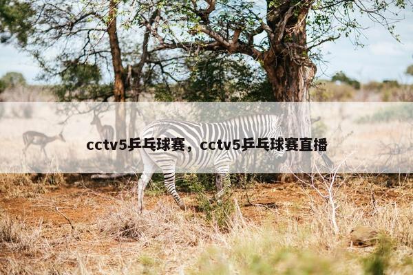 cctv5乒乓球赛，cctv5乒乓球赛直播