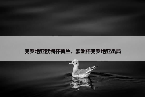 克罗地亚欧洲杯荷兰，欧洲杯克罗地亚出局