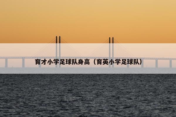 育才小学足球队身高（育英小学足球队）