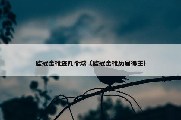 欧冠金靴进几个球（欧冠金靴历届得主）
