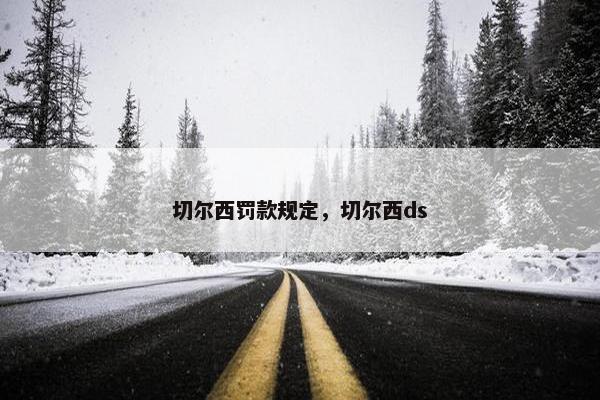 切尔西罚款规定，切尔西ds