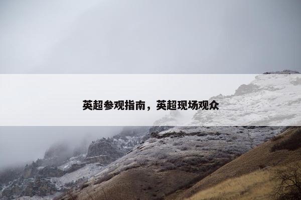 英超参观指南，英超现场观众