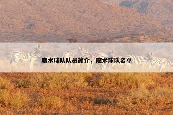 魔术球队队员简介，魔术球队名单