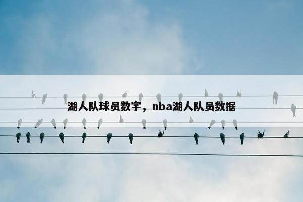 湖人队球员数字，nba湖人队员数据