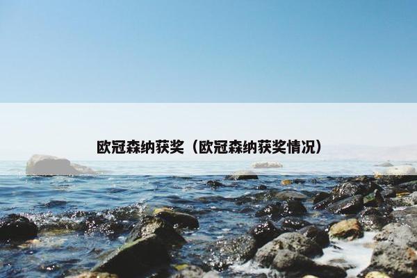 欧冠森纳获奖（欧冠森纳获奖情况）