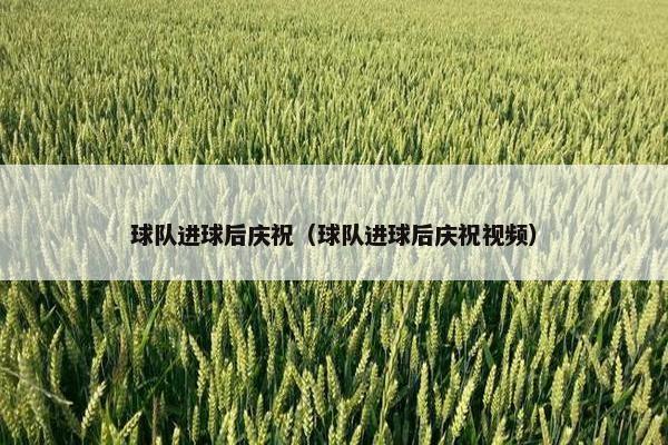 球队进球后庆祝（球队进球后庆祝视频）