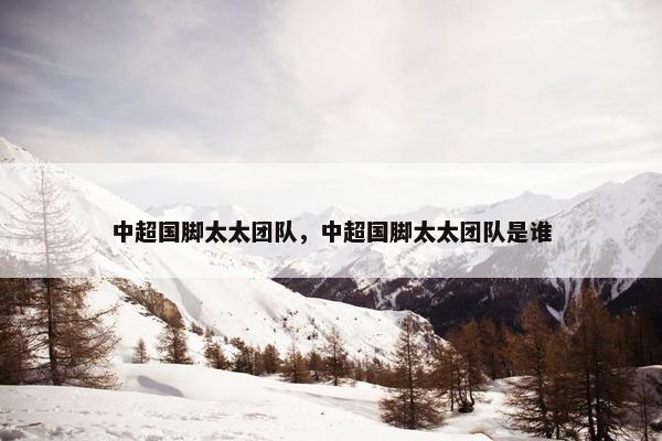 中超国脚太太团队，中超国脚太太团队是谁