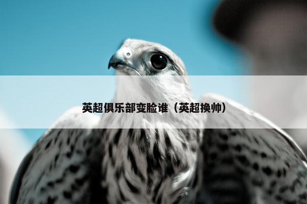 英超俱乐部变脸谁（英超换帅）