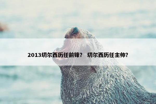 2013切尔西历任前锋？ 切尔西历任主帅？