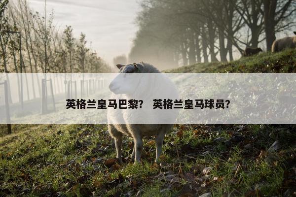 英格兰皇马巴黎？ 英格兰皇马球员？