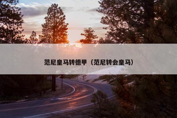 范尼皇马转德甲（范尼转会皇马）
