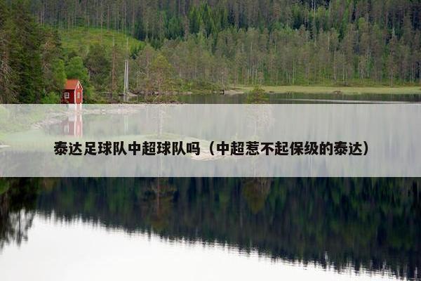 泰达足球队中超球队吗（中超惹不起保级的泰达）